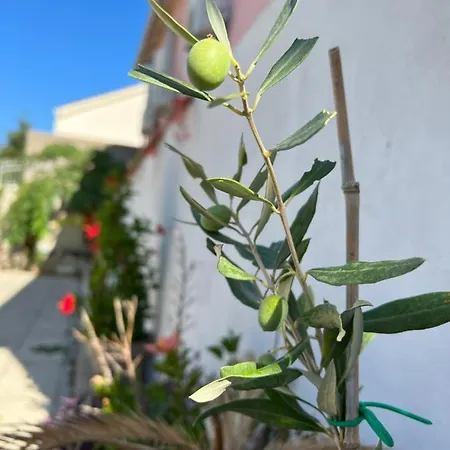 Silvana Ii Daire Šibenik