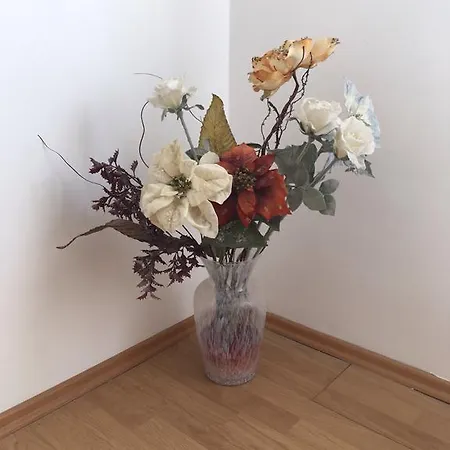 Apartment Silvana Ii