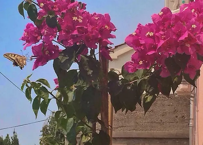 Silvana Ii Apartment